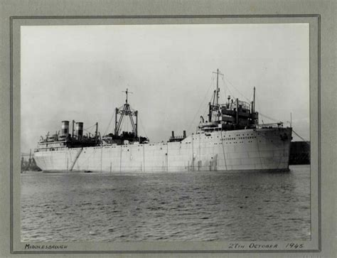Antarctic Whaling Expedition 1945 46 On The Factory Ship Southern