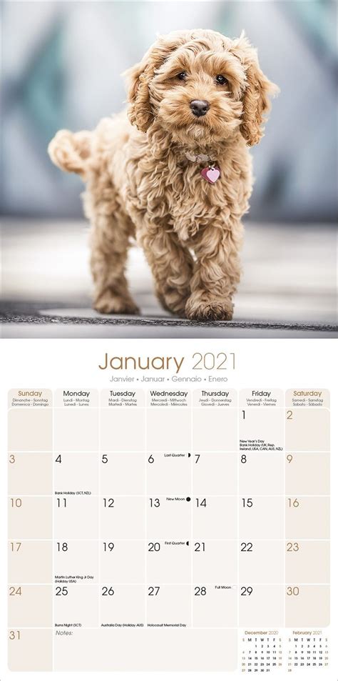 Puppies Calendar Dog Breed Calendars Pet Prints Inc