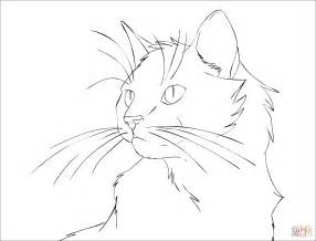 A fabulous gift for all the cat lovers in your life.*frame not included. Cat Portrait coloring page | Free Printable Coloring Pages
