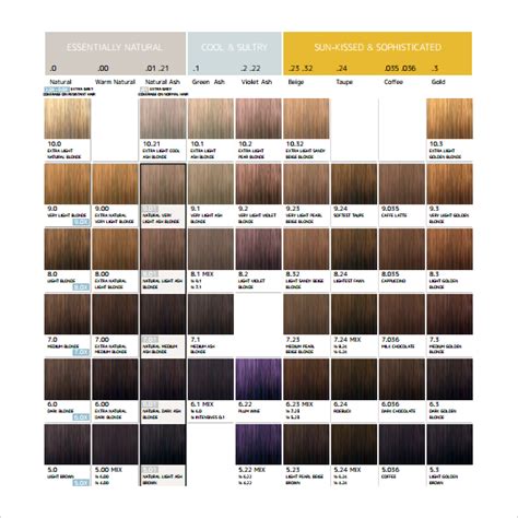 Free Sample Hair Color Chart Templates In Pdf A Hair Color Chart To