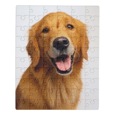 Golden Retriever Smile Jigsaw Puzzle