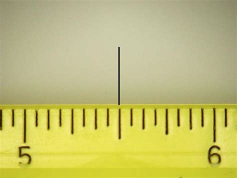 Two Inch Ruler Cheaper Than Retail Price Buy Clothing Accessories And