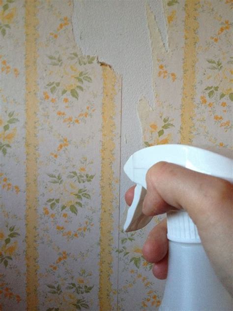 How to remove spider veins using apple cider vinegar. 49+ How to Remove Wallpaper Easily with Vinegar on ...