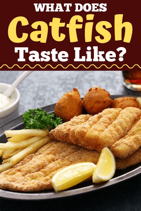 Catfish is a term that refers to a person who pretends to be someone that he is not online. What Does Catfish Taste Like? - Insanely Good