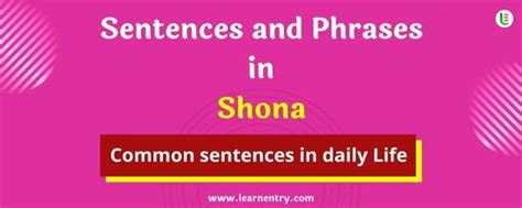 Daily Use Common Shona Sentences And Phrases Learn Entry