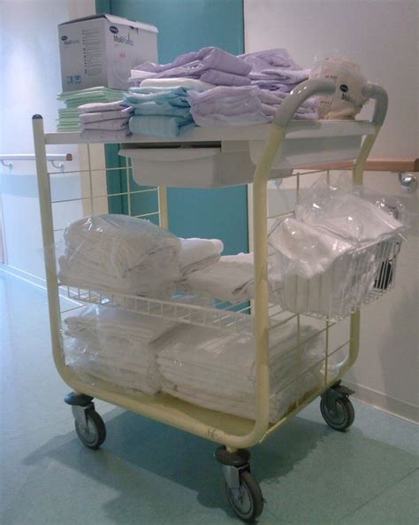 The Use Of Diapers In Mental Hospitals Understanding The Legal And