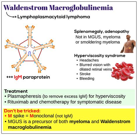 Waldenstrom Macroglobulinemia Medicine Keys For Mrcps