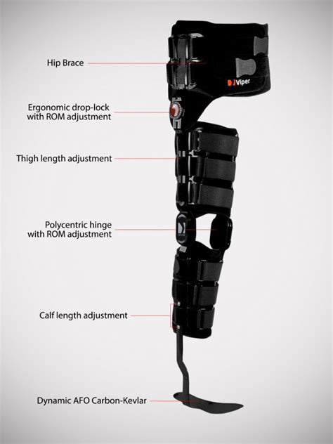 Hkafo Orthosis With Dynamic Foot Hip And Knee Adjustment Complex2r