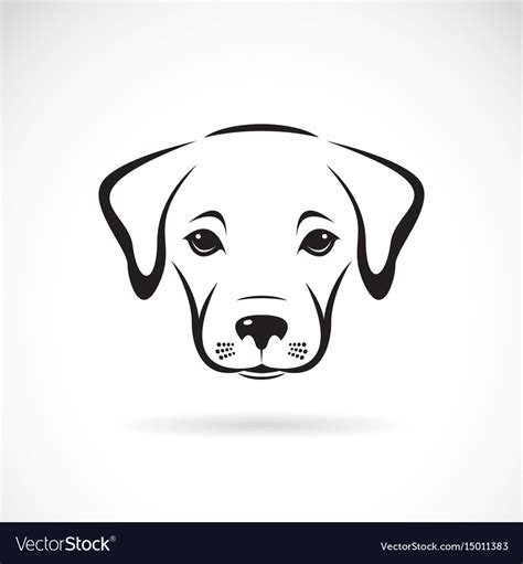 Labrador Puppy Face On White Background Dog Pet Vector Image