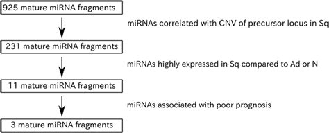 Flow Diagram Showing The Mirna Selection Process Used In This Study