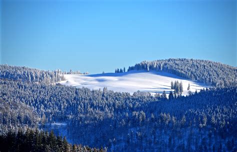 Winter Forest Wallpaper 4k Snow Trees Hill Sky View Clear Sky