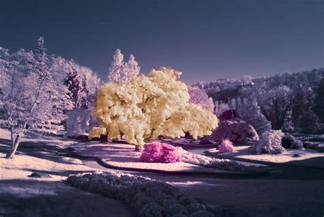 45 Impressive Examples Of Infrared Photography