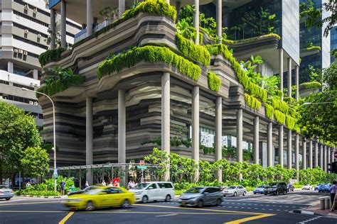 Urban Greening Can Save Species Cool Warming Cities And Make Us Happy