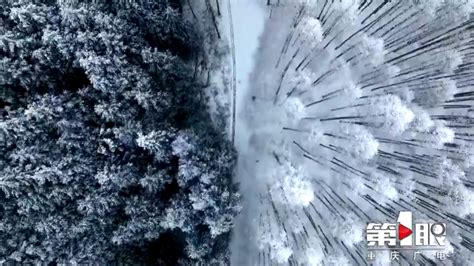 Video When Shanwangping Park Covered With Snow Ichongqing