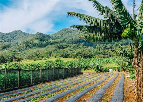 HAF AG Park at Kunia | Hawai'i Agricultural Foundation