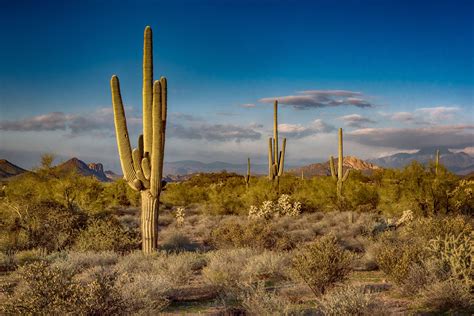 Iqtisadi xeberler, şou biznes xəbərləri , siyasi xeberler, kriminal xeberler, idman xeberleri, muharibe xeberleri, maliyye xeberleri. What is the current local time in Phoenix, Arizona?