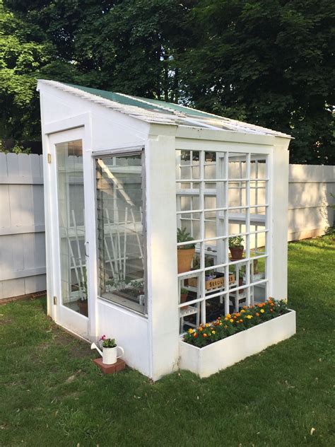 Greenhouse Made From Our Old Windows In 2020 Backyard Greenhouse Diy