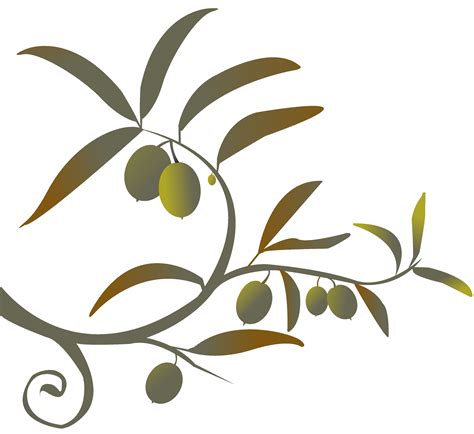 Olive Tree Silhouette Clipart Best