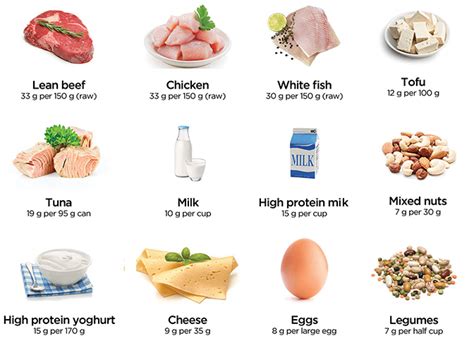 12 fantastic protein foods | CSIRO Total Wellbeing Diet