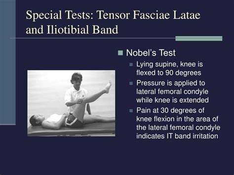 Ppt Chapter 21 The Thigh Hip Groin And Pelvis Powerpoint