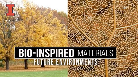 Future Environments Bio Inspired Materials Youtube