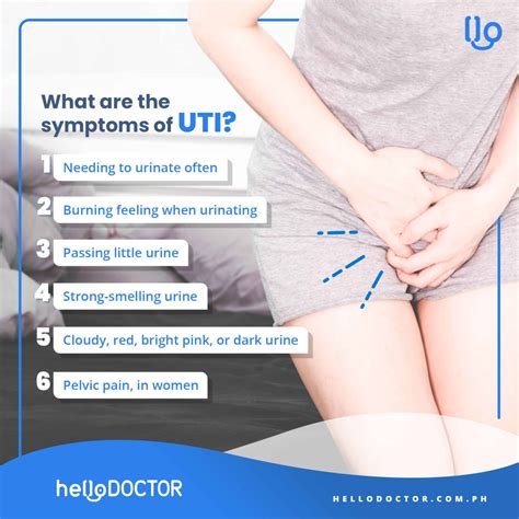 What Are The Common Causes Of UTI Hello Doctor