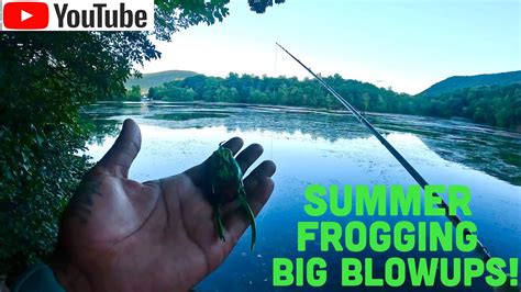 Summer Frog Fishingbest Frog Color Youtube