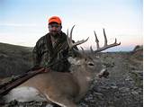 Wyoming Deer Hunting Outfitters Images