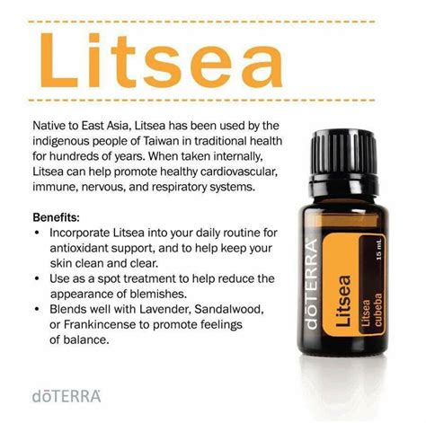Doterra Litsea Essential Oil Benefits And Uses How To Use Litsea