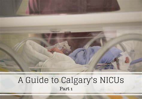 A Guide To Calgarys Nicus Part I What Is The Difference Between A