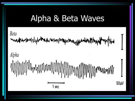 Ppt Rhythms Of The Brain Powerpoint Presentation Free Download Id