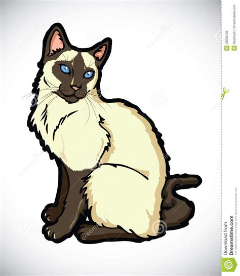 Siamese Cartoon Cat Royalty Free Stock Images Image