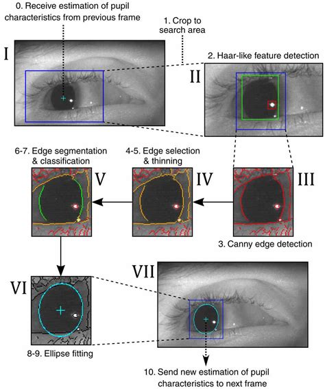 Robust Video Based Eye Tracking Using Recursive Estimation Of Pupil