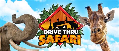 Wild Safari Drive Thru Adventure
