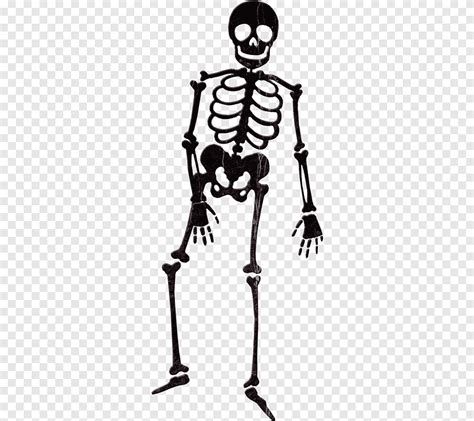 Pic Of Jack Skeleton 🍓lotuss Shaka On Behance