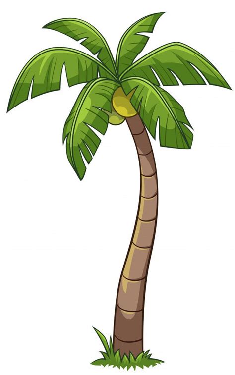 Premium Vector Coconut Tree Cartoon Style Tree Drawing Coconut