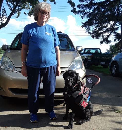 Every Day Specially Trained Mobility Service Dogs Help People With