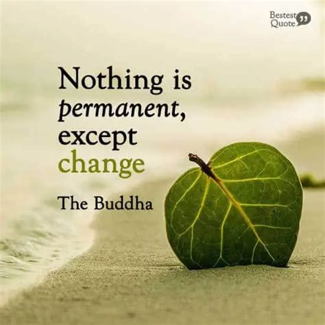 Top 50 Buddhist Quotes On Change Impermanence And Letting Go Bestestquote
