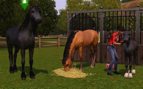 The Sims 3 Pets Horses Guide To Care Training And Benefits