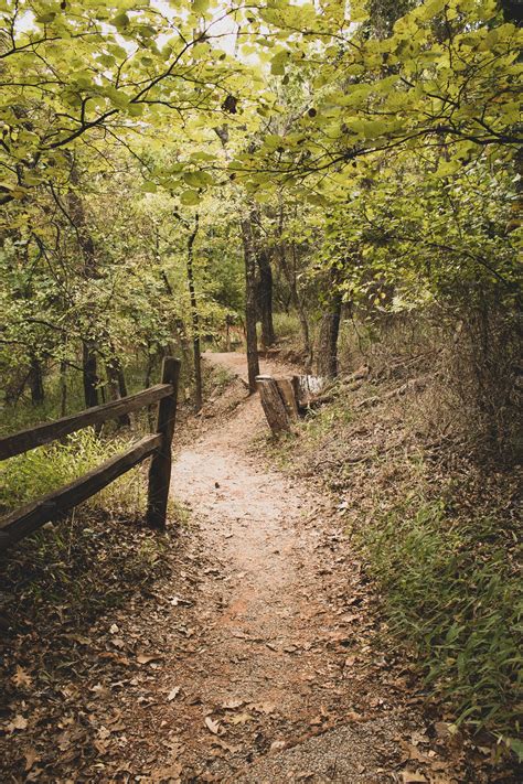 Winding Path Stock Photo Containing Nature And Fall Nature Stock