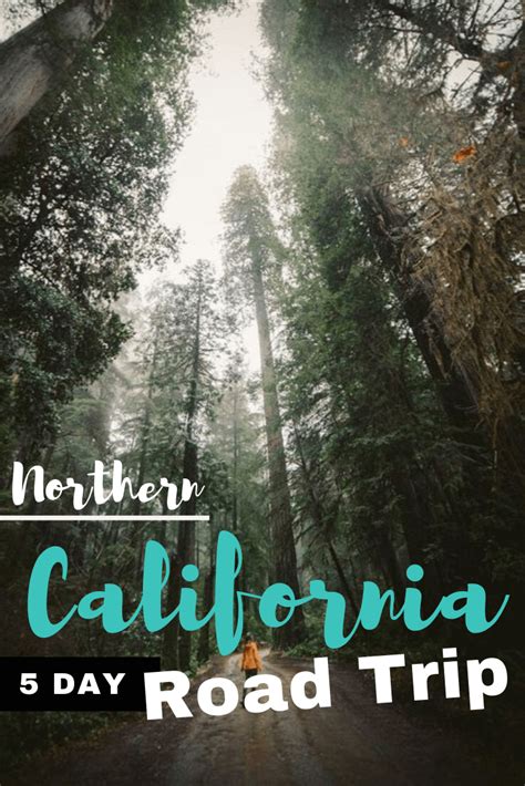 Best Stops On A Northern California Road Trip Driving Interary