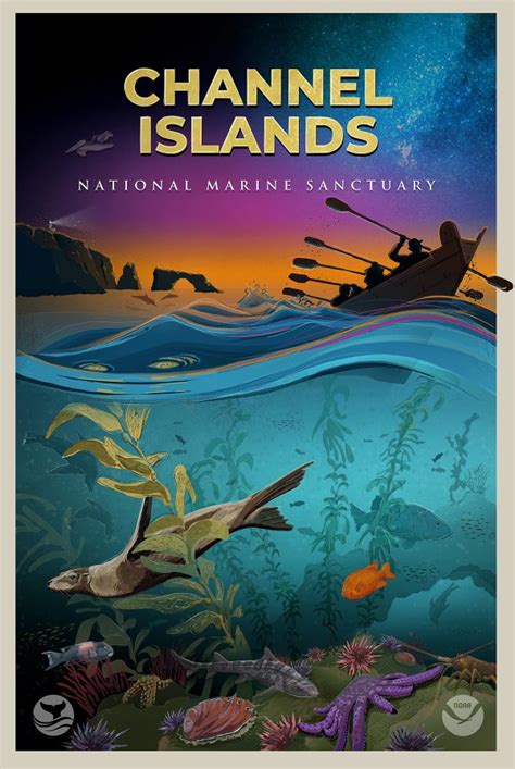 Kelp Forest Ecosystems Posters Office Of National Marine Sanctuaries