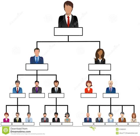 Organization Corporate Chart Company People Stock Vector Illustration