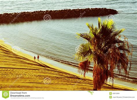 Plage De Playa Del Ingles Dans Maspalomas Mamie Canaria Espagne Image Stock Image Du