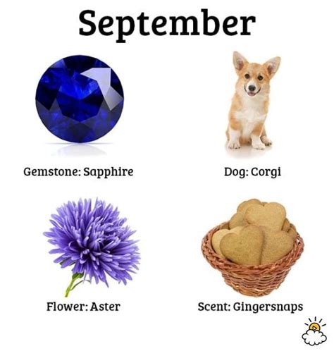 Each Birth Month Has A Special Dog Scent Gem And Flower Whats
