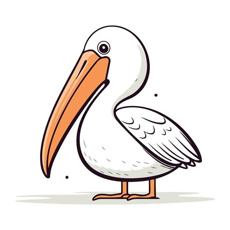 Pelican Vector Illustration Cartoon Pelican Isolated On White