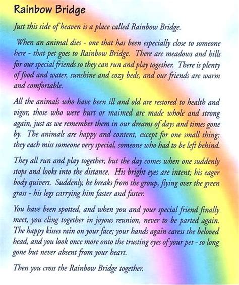 Rainbow Bridge Dog Poem Printable Customize And Print