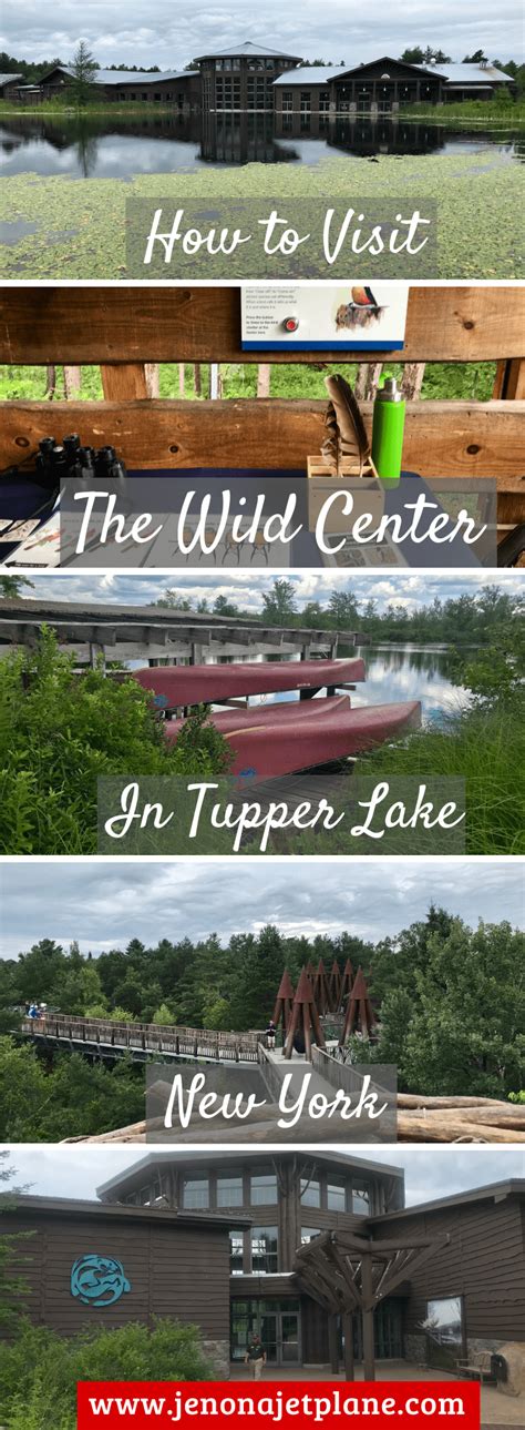 How To Plan The Perfect Visit To The Wild Center In Tupper Lake Ny