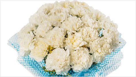 Know About The Carnations Meaning According To Their Color