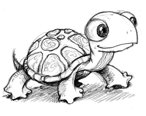 Turtle Drawing Easy Cartoon Aesthetic Drawing